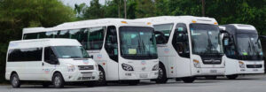 Dịch vụ thuê xe BUFF Tour – An toàn, tiện nghi, đồng hành mọi hành trình.