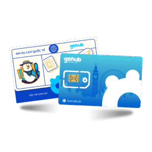 Sim Châu Âu là gì?